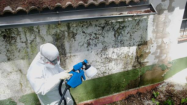 Top rated local Attic Mold Remediation specialists in Reinholds, PA
